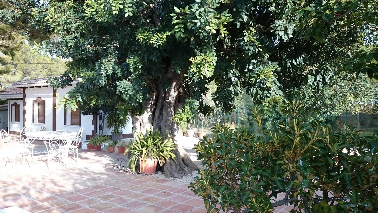 Villa Chabola Dénia Exterior foto