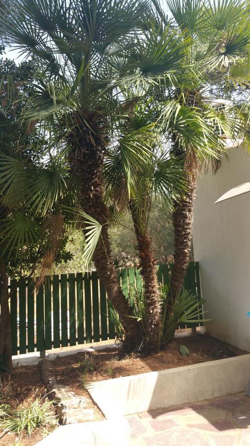 Villa Chabola Dénia Exterior foto
