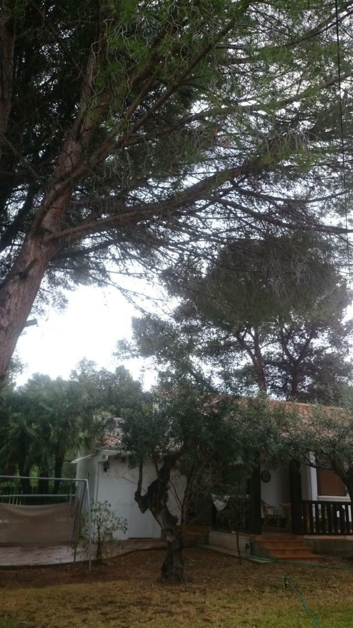 Villa Chabola Dénia Exterior foto